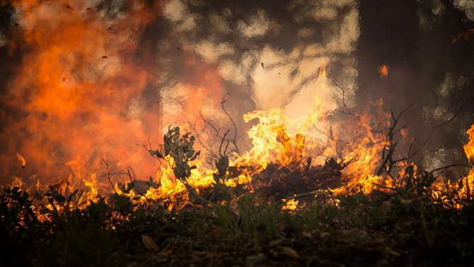 Продължава гасенето на горския пожар в Сакар планина