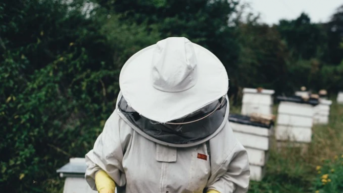 ДФЗ изплати над 4, 132 млн. лв. на пчеларите по de minimis