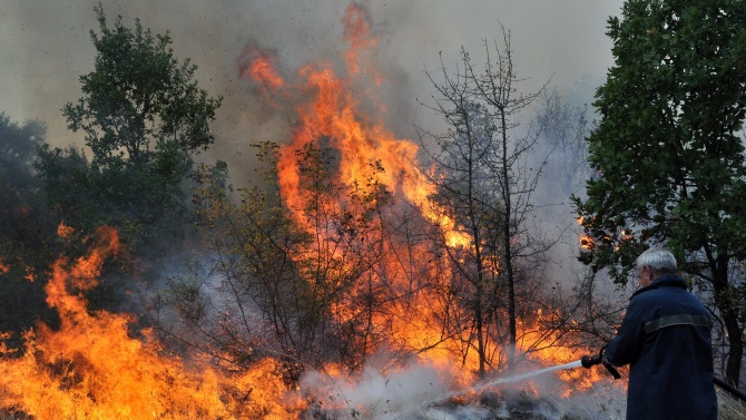 Пожар гори в над 500 декара смесена гора в землището на Българаново
