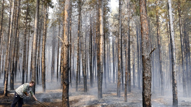 Пожарът в гората край омуртагското село Българаново е потушен 