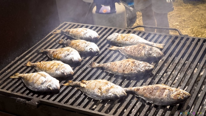 Фестивал на рибата и виното в Бургас