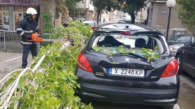 Дърво падна върху кола в Хасково 