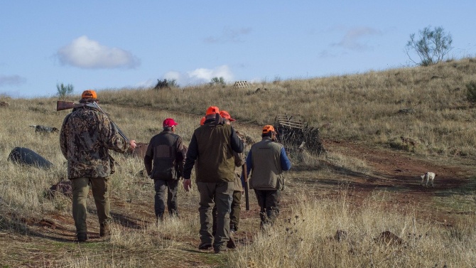 Над 5400 ловци са проверени в първите излети на групов лов на дива свиня 