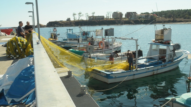 Добър сезон за рибарите край Ахтопол