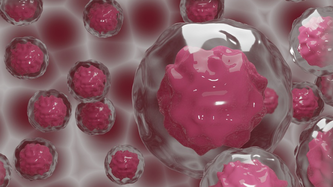 Япония започна клинични тестове на терапия срещу рак с вид стволови клетки