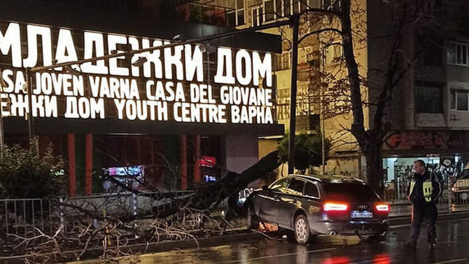 Джип се заби в дърво в центъра на Варна и го събори