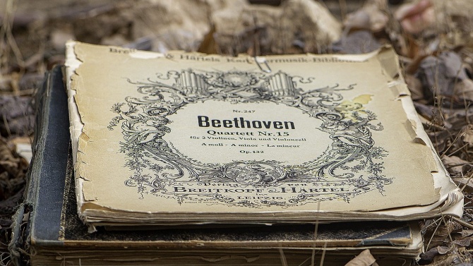 Симфониета - Враца отбелязва 250 години от рождението на Бетовен