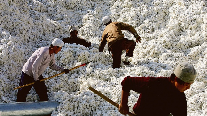 САЩ забраняват вноса на всички продукти от памук и домати от китайския район Синдзян