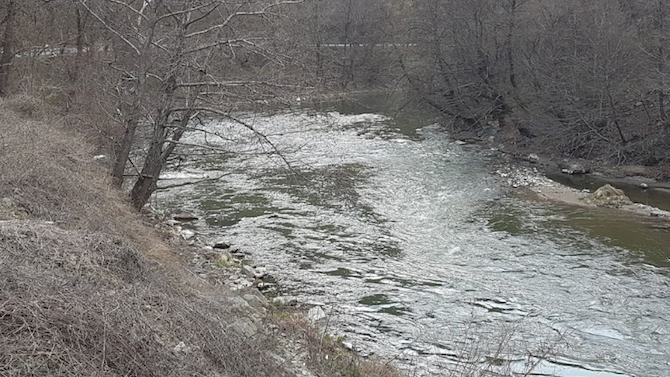 Почистиха плаващото сметище в река Струма край Невестино