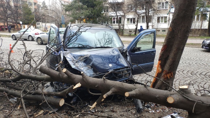 Джип събори дървета на булевард "Гоце Делчев" в София