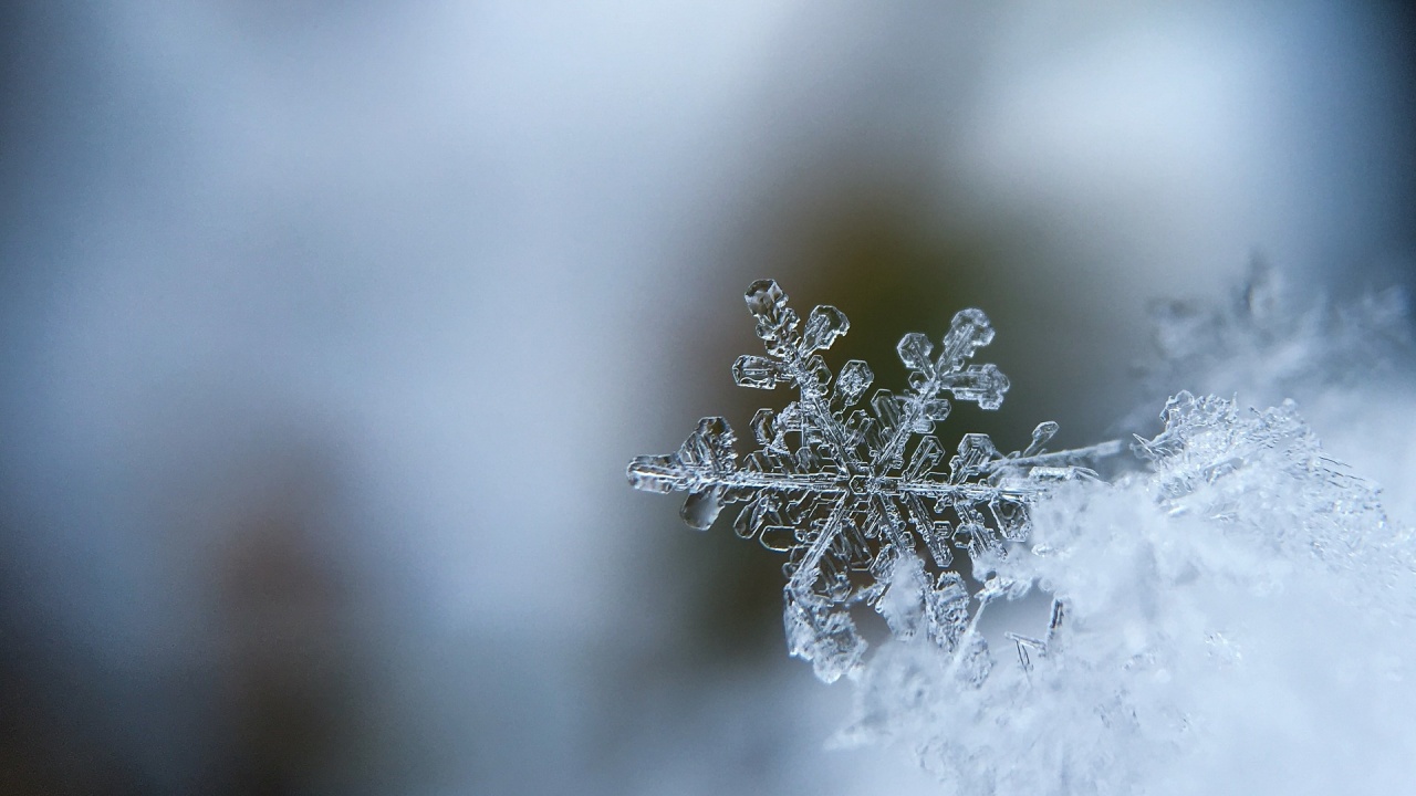 Вижте времето през новата седмица!