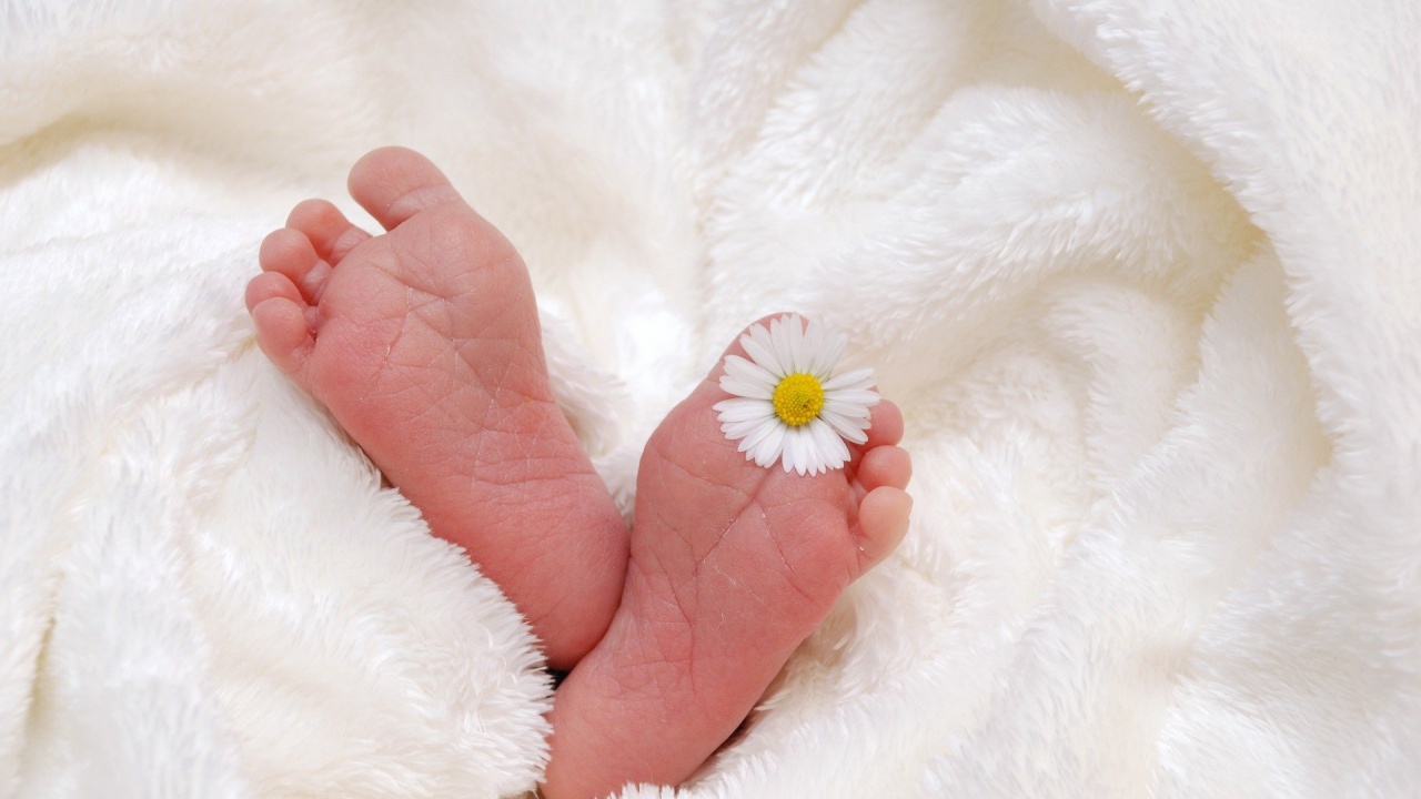 Първото бебе, родено в Асеновград за 2021 г., получи 1000 лв. от общината