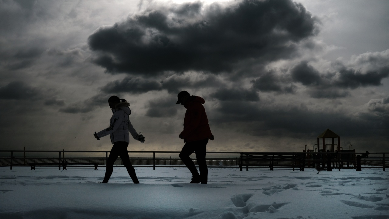 Най-малко 20 са жертвите на ледения апокалипсис в САЩ 