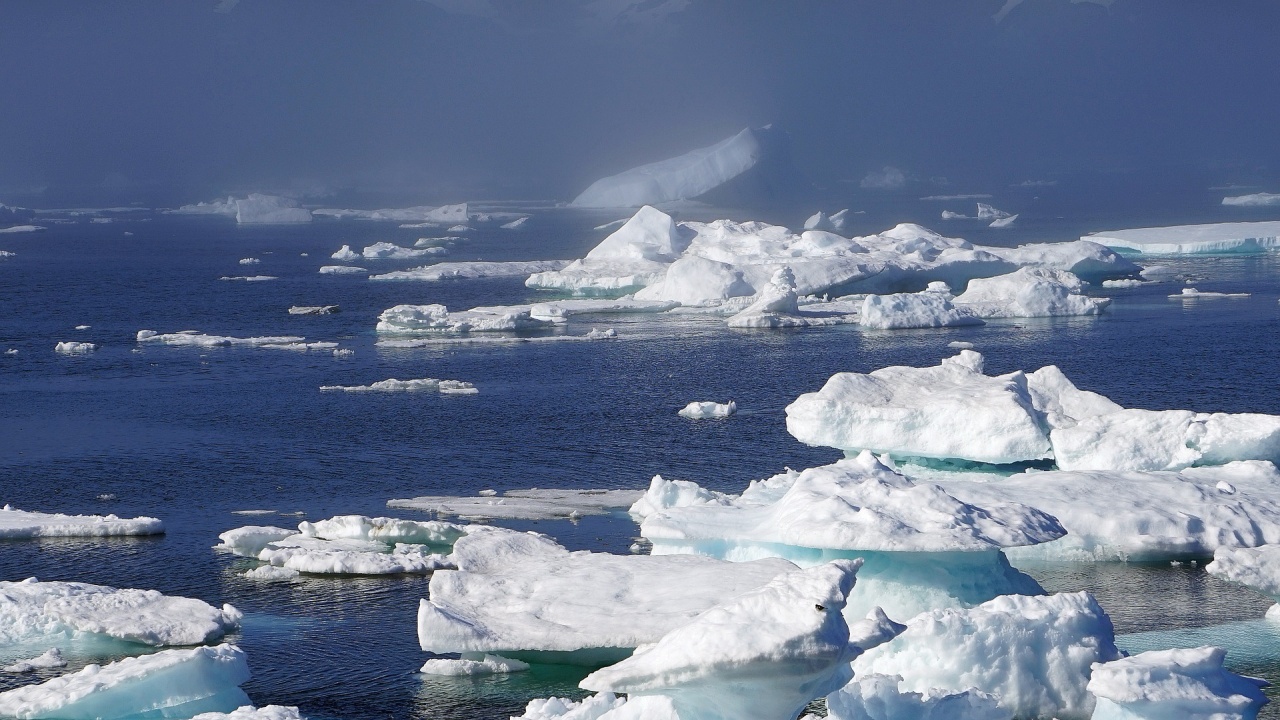 Гренландия невинаги е била покрита с лед 