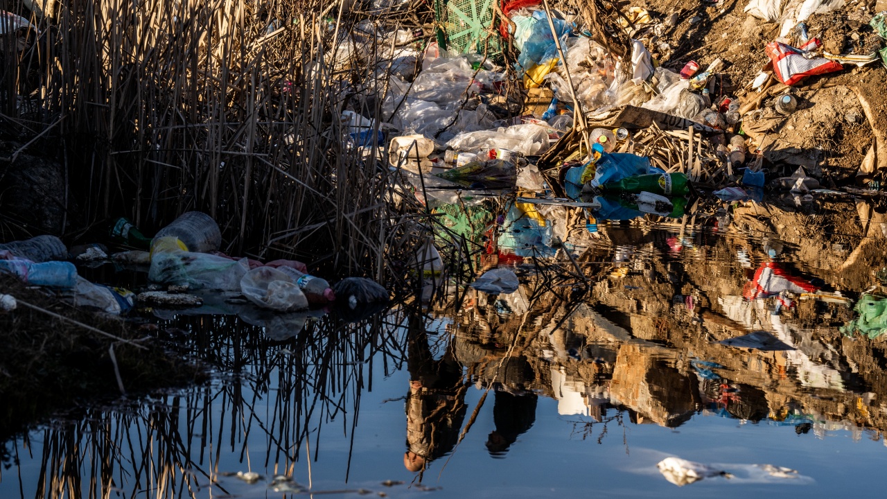 Тонове боклук замърсява поречието на Места 