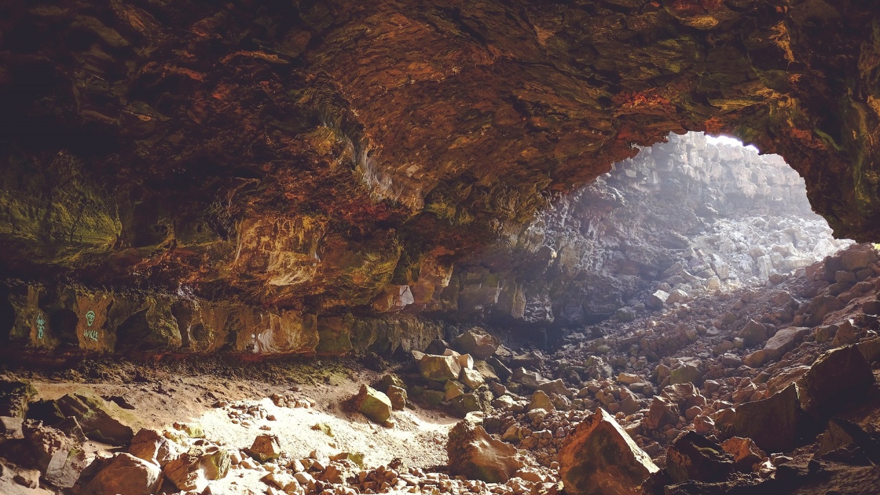 Изненадващи разкрития след генетичен анализ на древните хора от пещерата "Бачо Киро"
