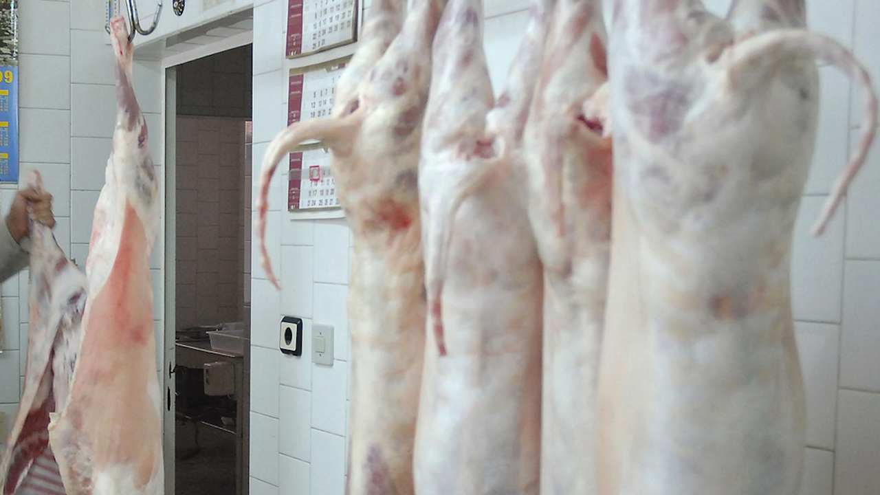 В Пазарджик започват засилени проверки за качеството на агнешкото месо