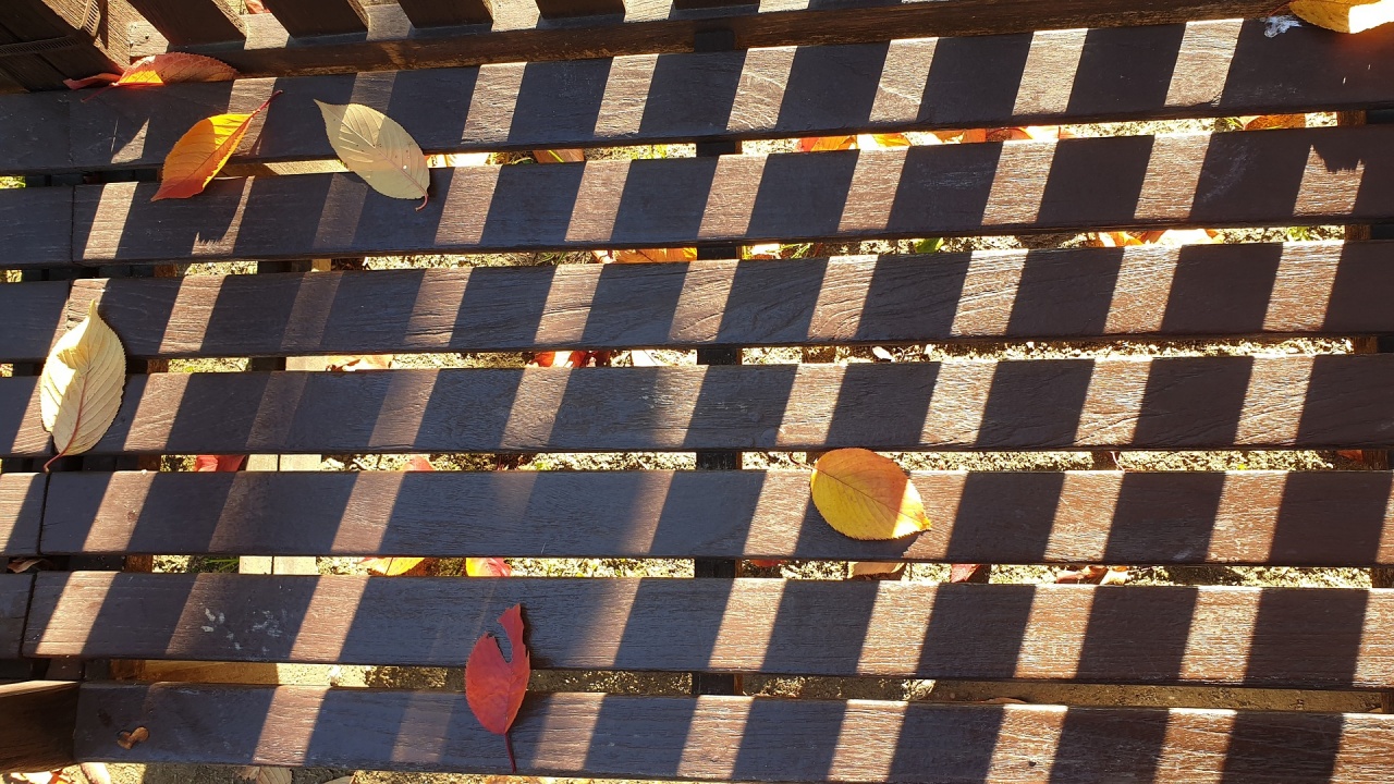 Инсталираха соларната пейка във Видин