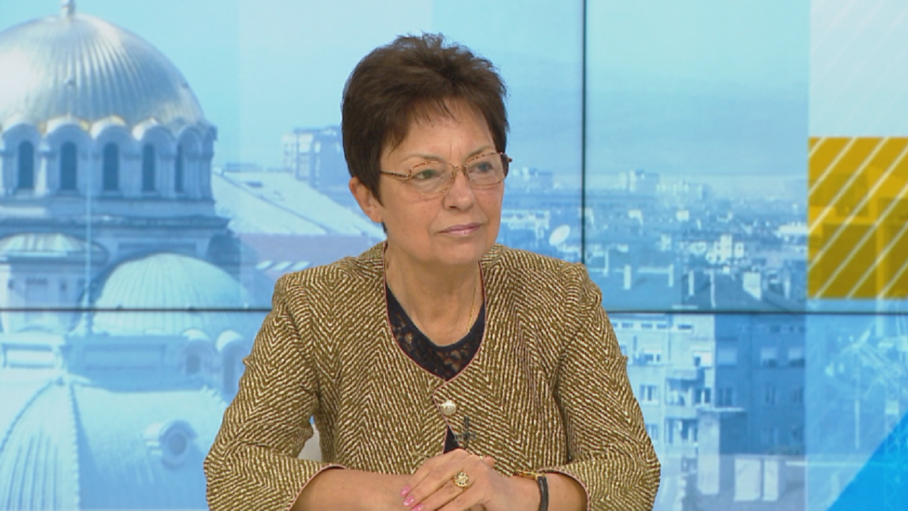 Ирена Анастасова: БСП не е потърсена за подкрепа от "Има такъв народ"
