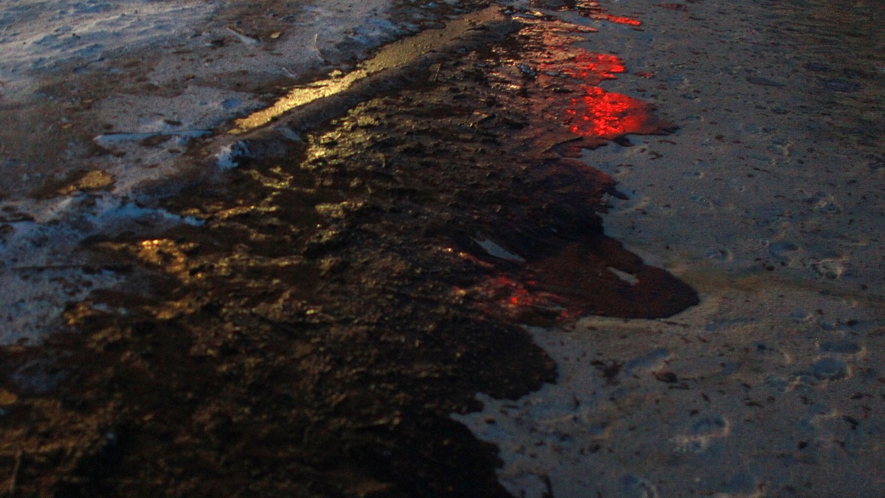 Локализираха петролния разлив в Русия