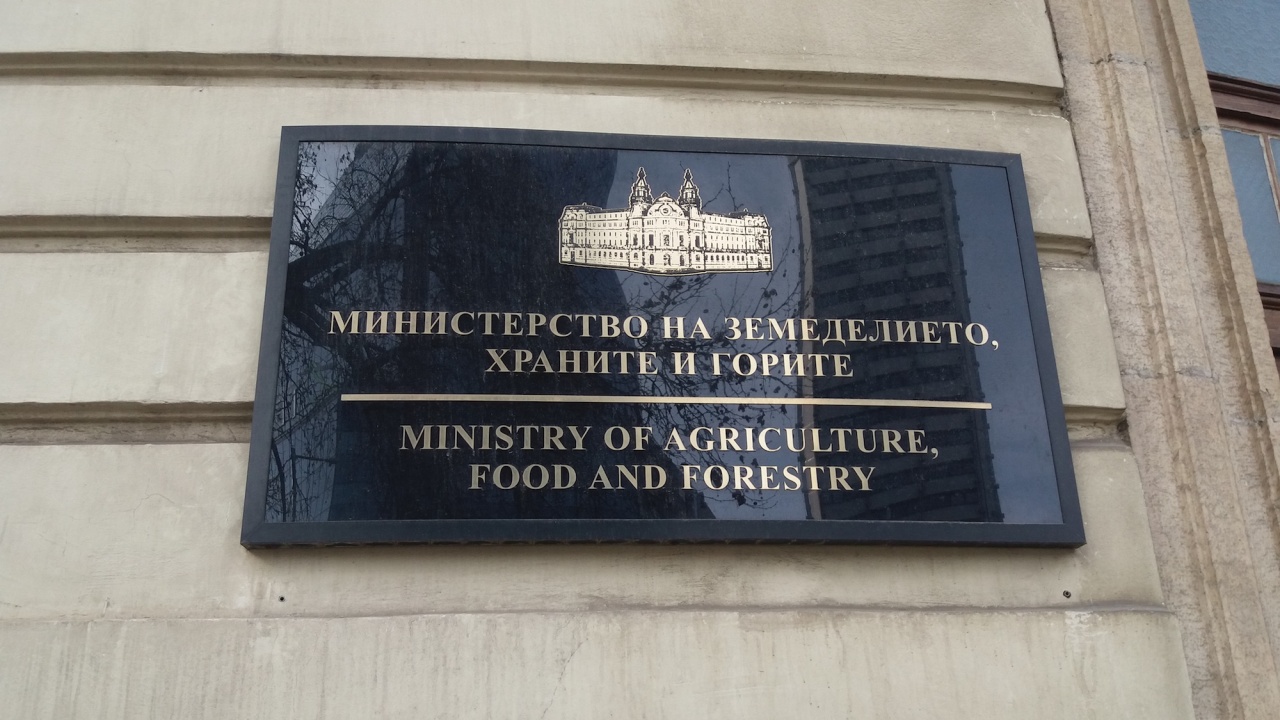 Явор Гечев е назначен за заместник-министър на земеделието, храните и горите