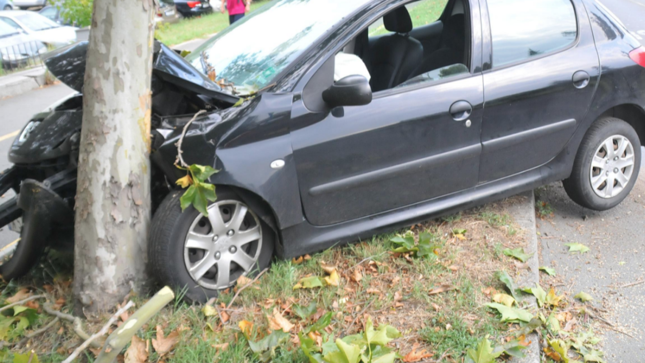 Спътник на пиян шофьор загина при катастрофа до димитровградско село
