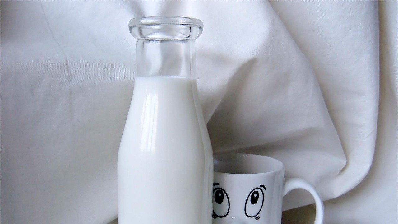 Чаша мляко дневно пази сърцето