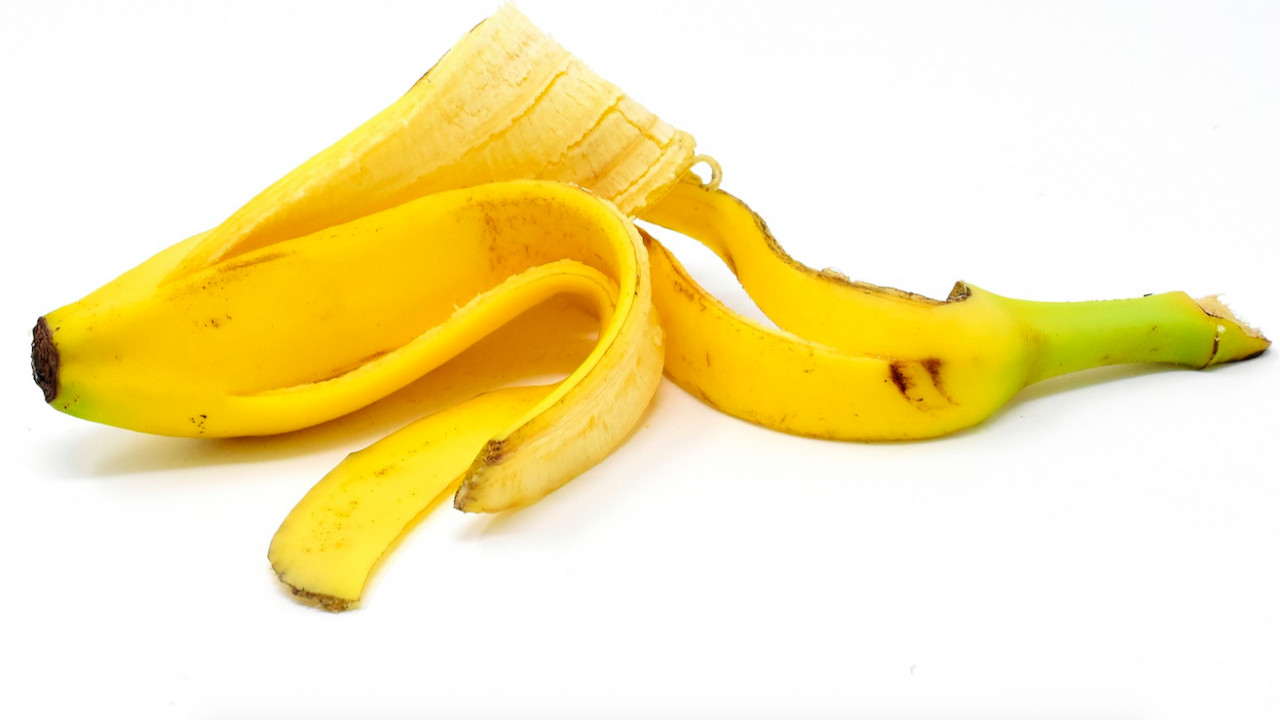 Учени създадоха строителен материал от бананови кори и водорасли