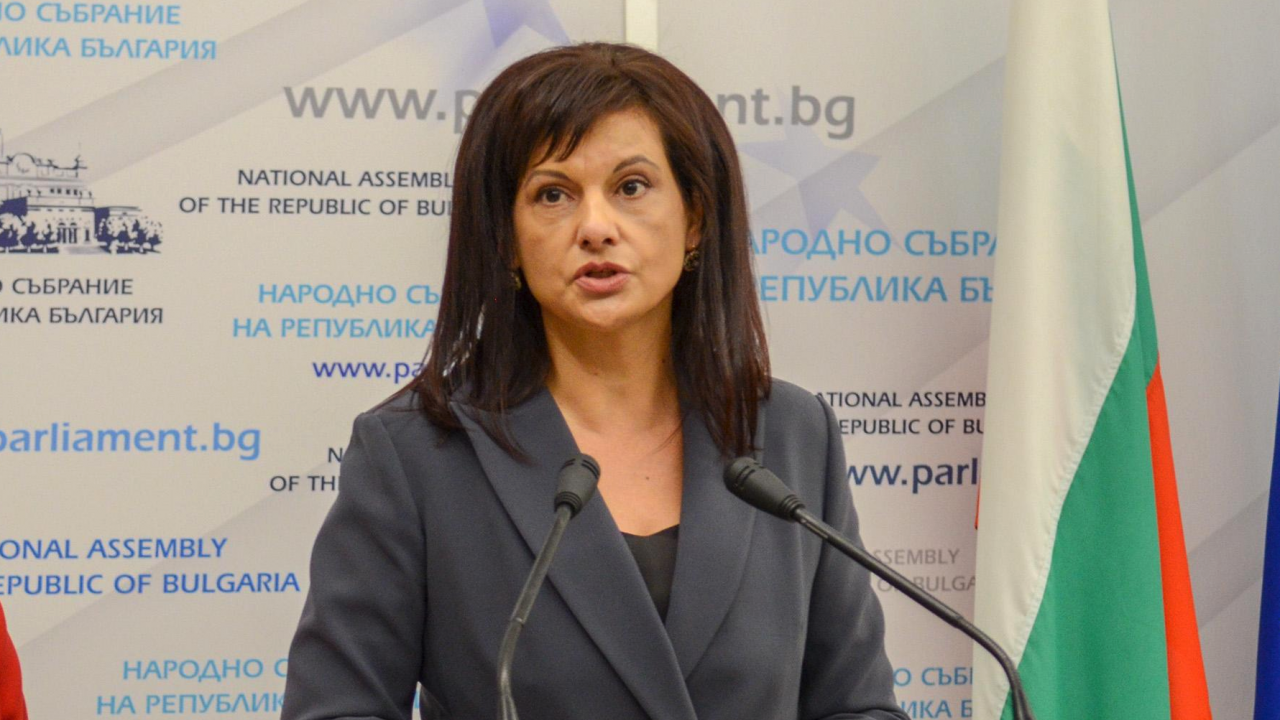 Д-р Дариткова: Какъв проблем ще се реши, ако болниците не са търговски дружества?
