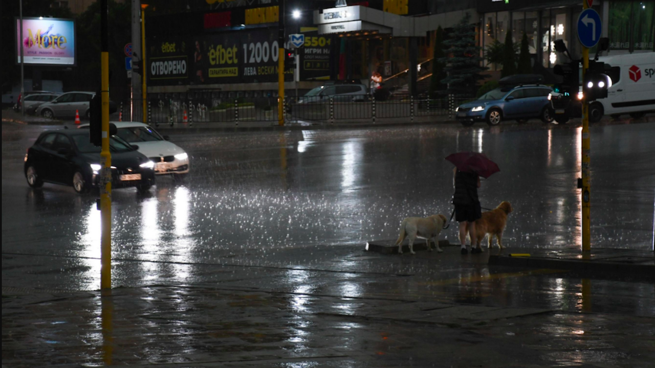 Екипите на Столична община реагират на сигналите във връзка със силния дъжд и вятър в София