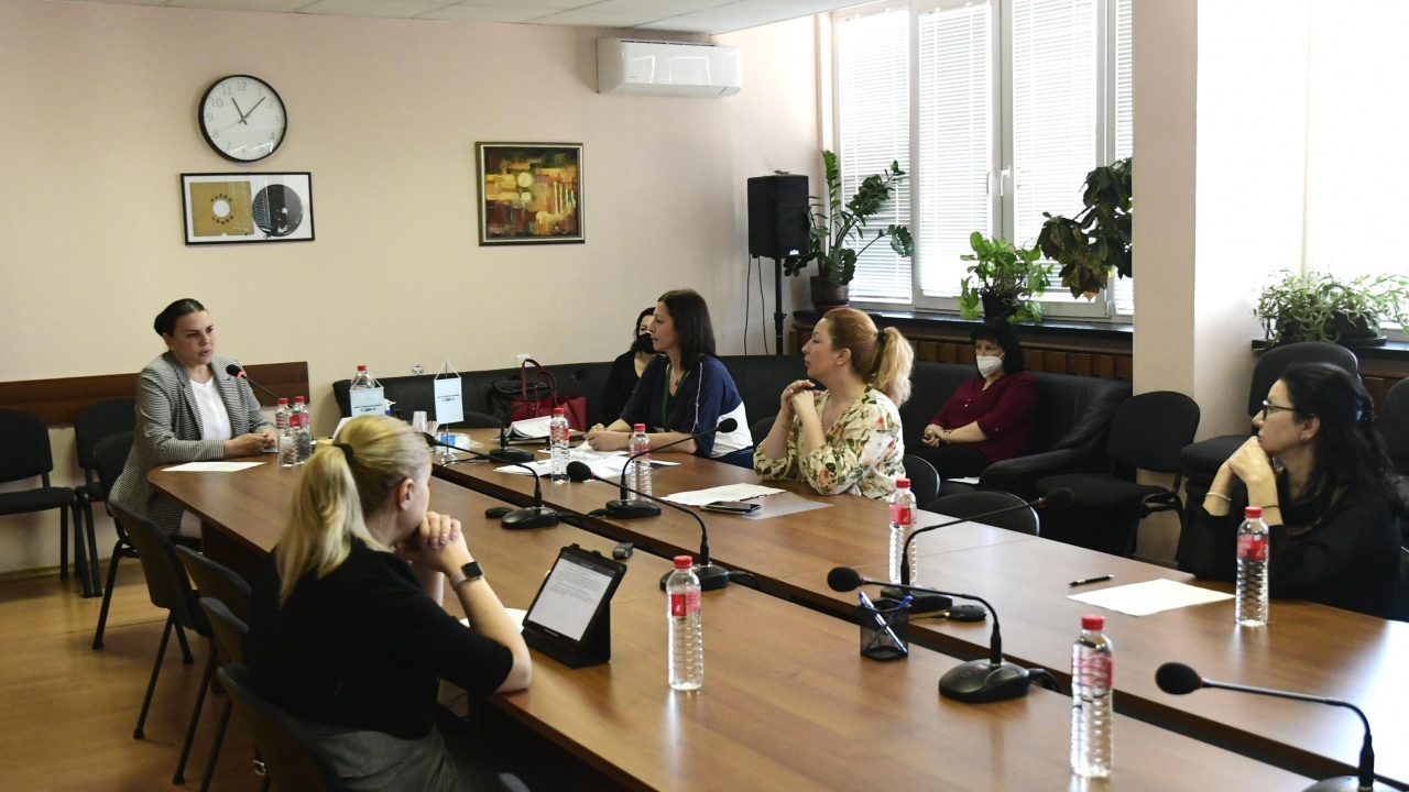СЕМ прие оставката на Ивелина Димитрова