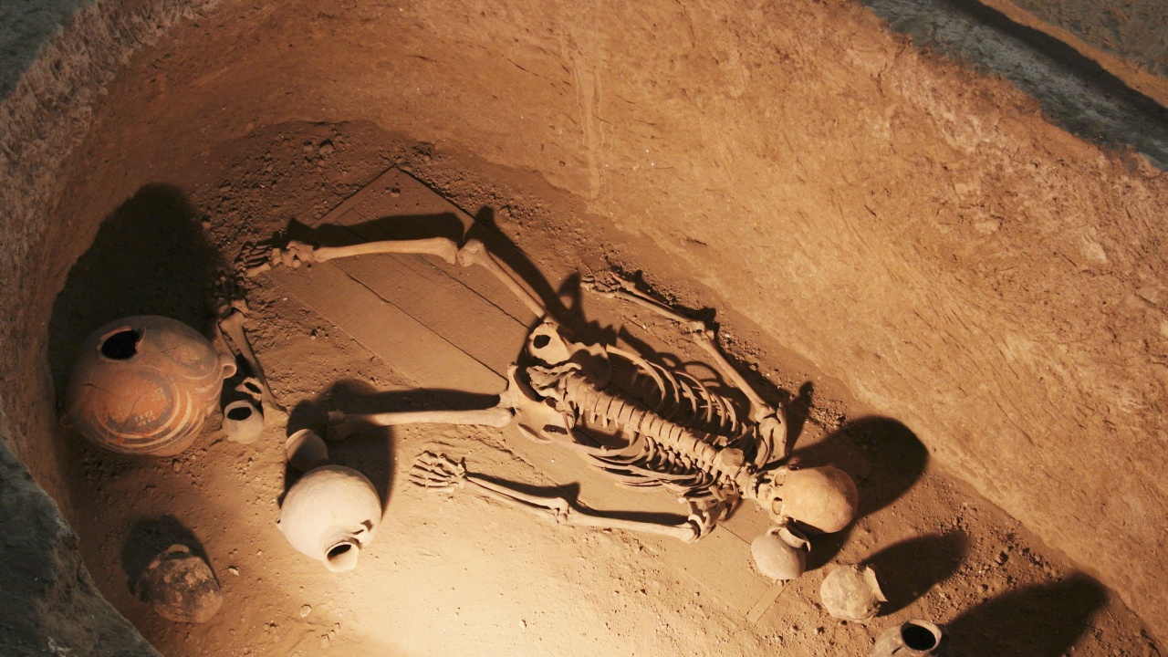 Мъж, живял преди 5000 години, е първата известна жертва на чумата 