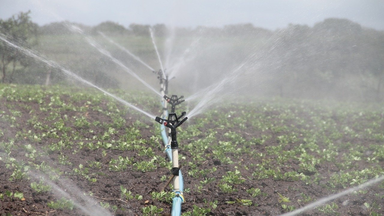 Зеленчукопроизводители в Каварненско пети ден са без вода