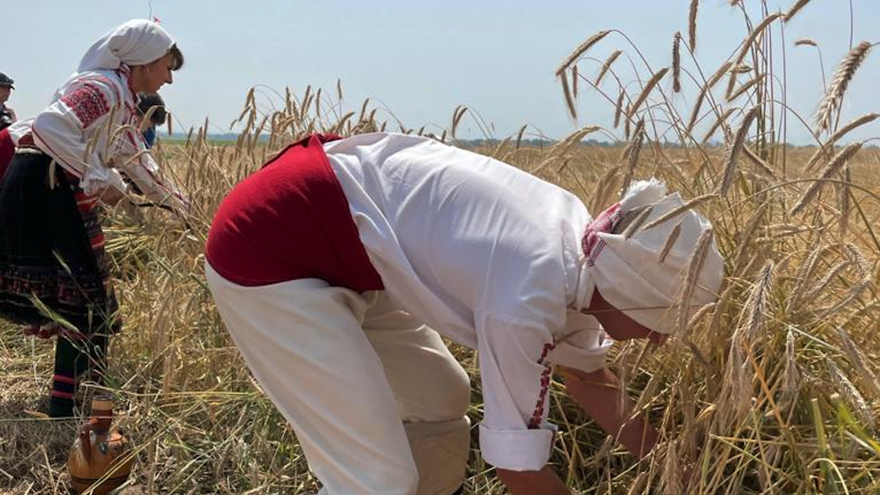 Бозуков: Очакваният добив от пшеница тази година ще бъде около 5.7-5.8 млн. тона