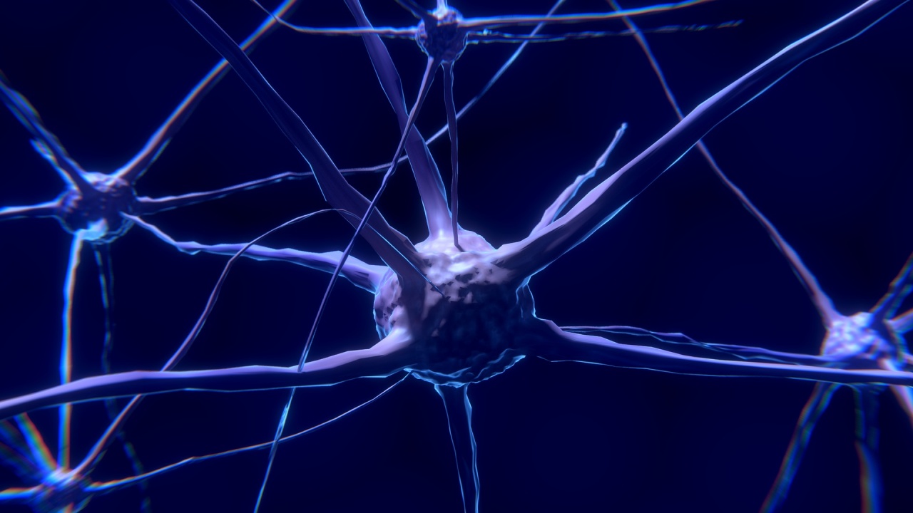 Учени откриха нов клас клетки на паметта в мозъка 