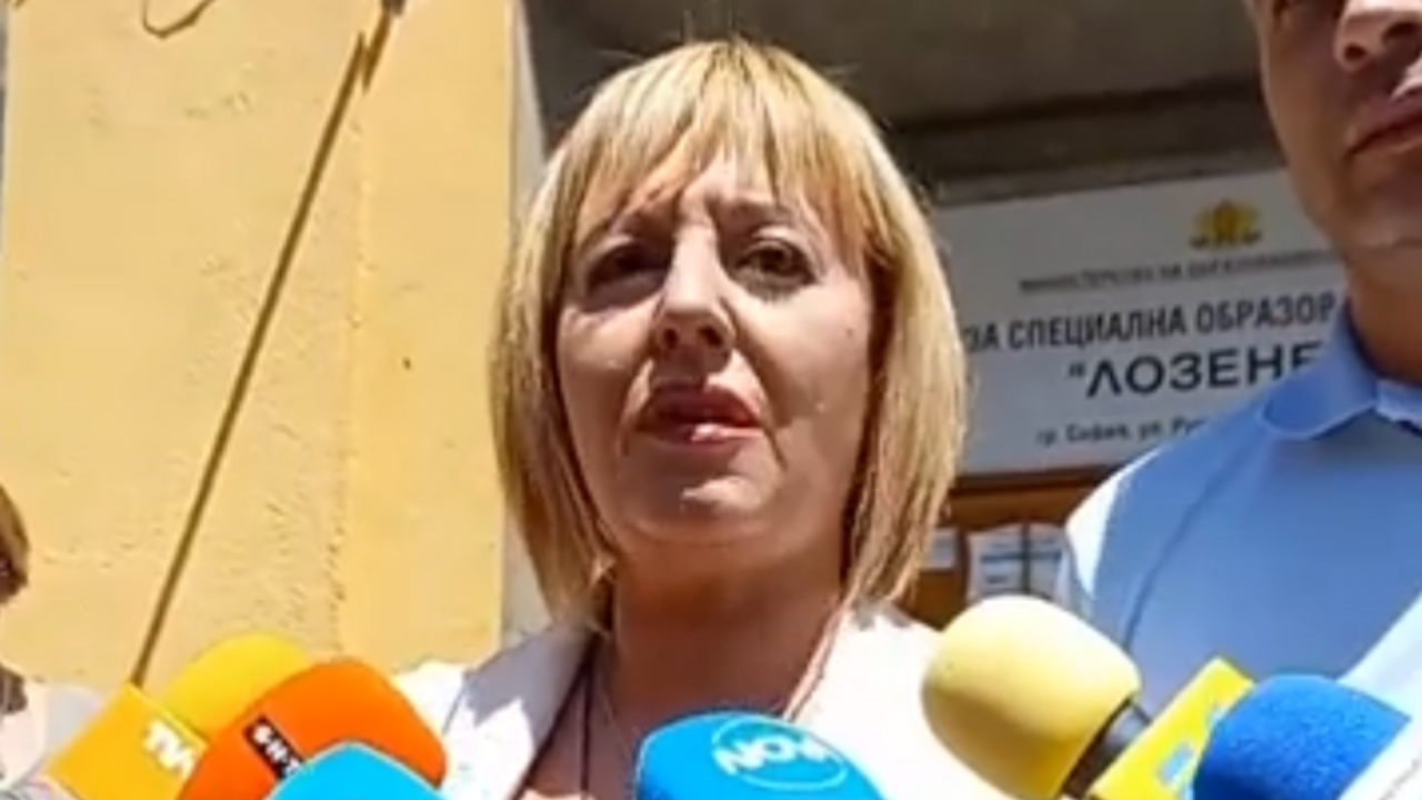 Мая Манолова призова българските граждани да гласуват