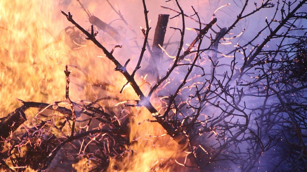 Гъст дим от бушуващи горски пожари покри руския град Якутск и още 50 селища в Сибир 