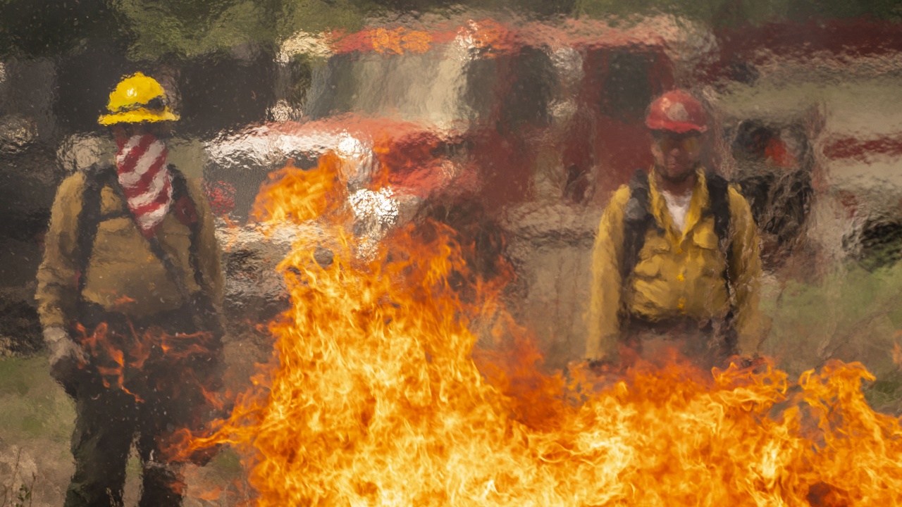Горски пожари в САЩ: Огънят е обхванал на територията на 13 щата