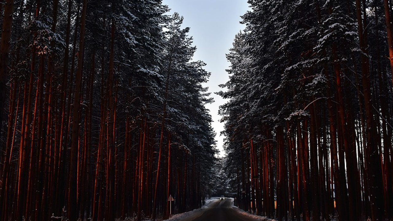 Предложиха приватизация на горите в Русия