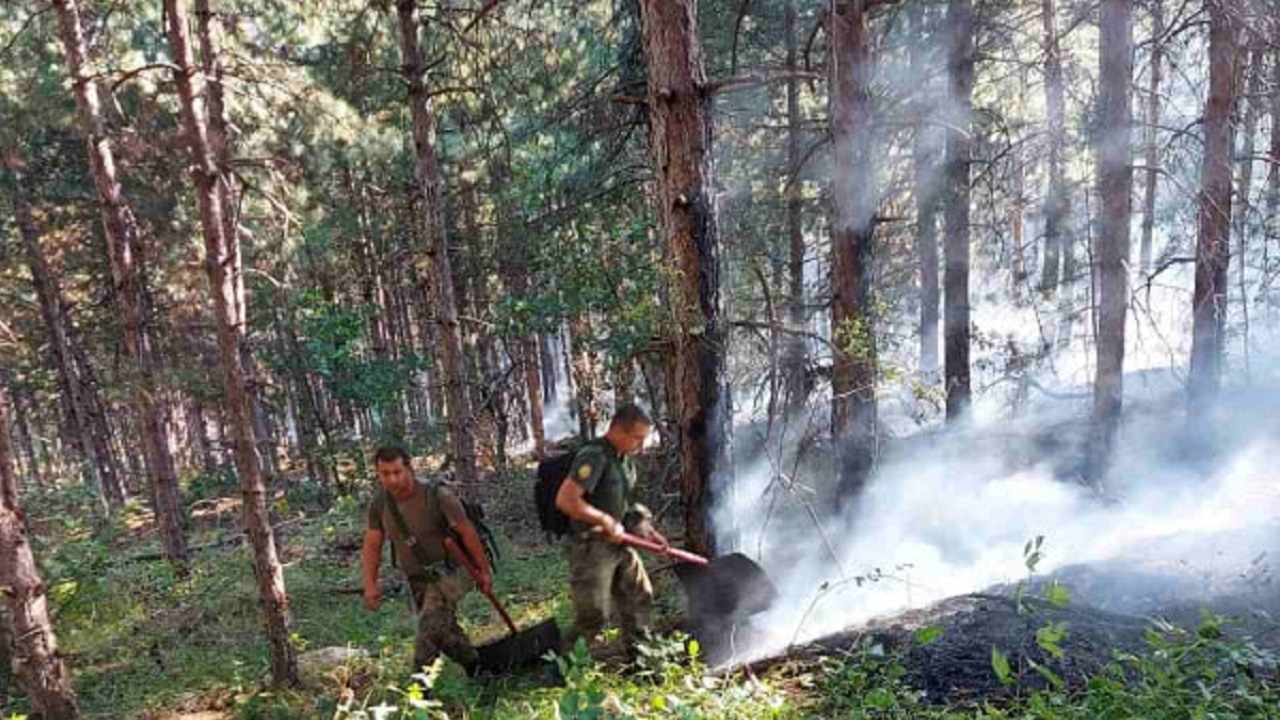 Военни помагат за потушаването на пожара в Свиленградско