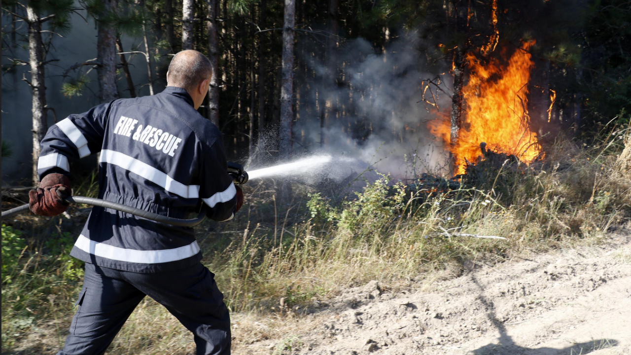 Действията по локализиране на горския пожар над село Виден продължават