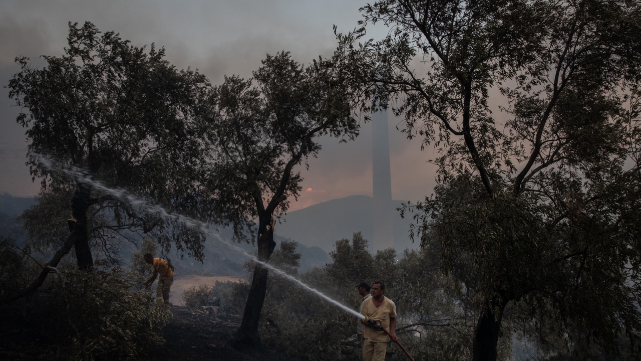 Горски пожар бушува в ТЕЦ в Югозападна Турция