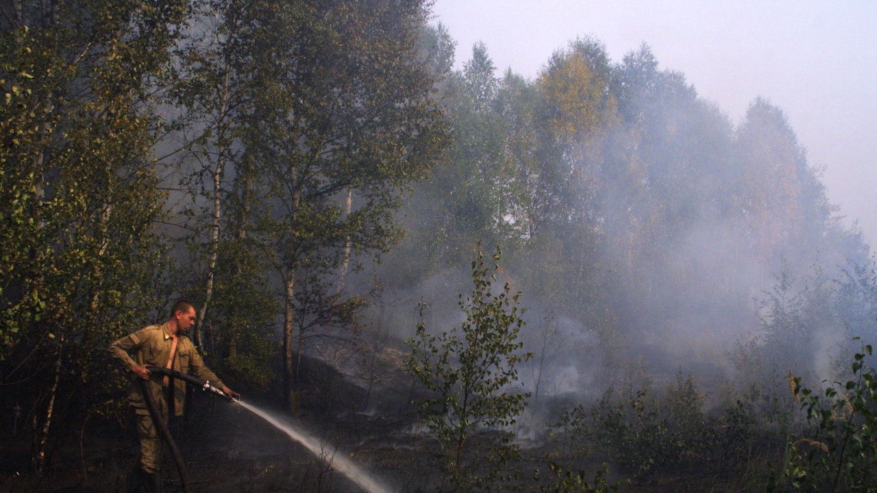 Над 250 горски пожара бушуват в Русия 