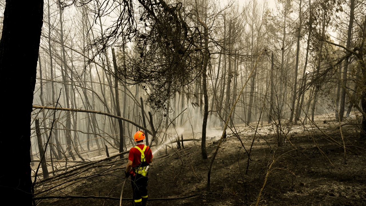 Пожарът в района на Нимфеа в Гърция е овладян