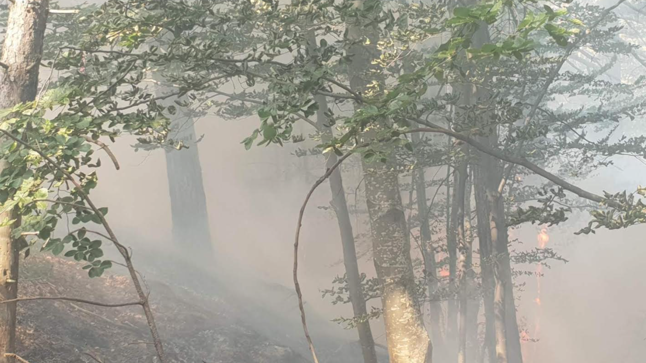Ситуацията с пожара над Югово се обостря опасно - гасителният хеликоптер се оттегли, доброволците изнемогват