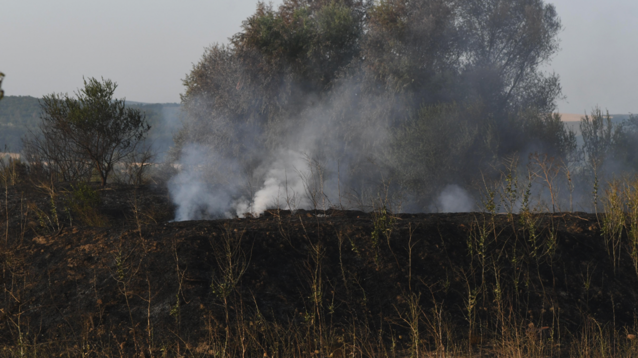 Санкционираха земеделци в Ямболско за палене на стърнища