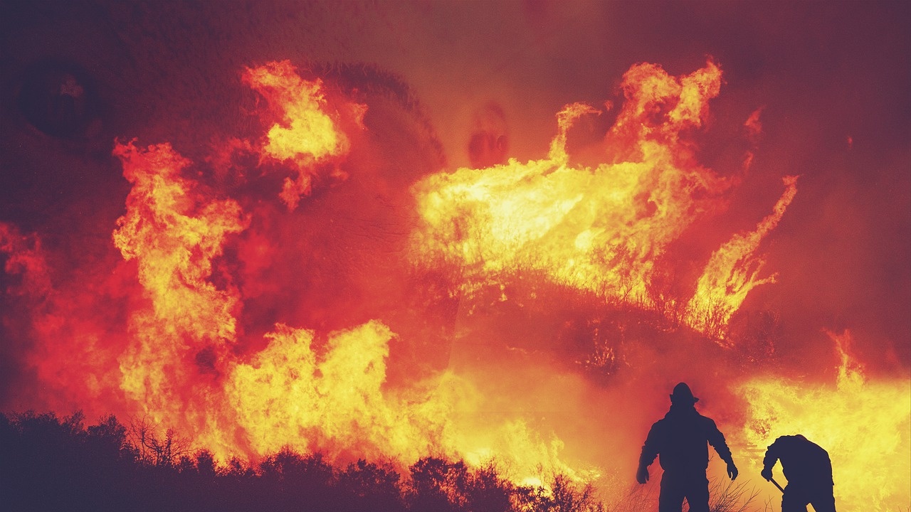 150 декара гори са спасени от пожари в Новозагорско 