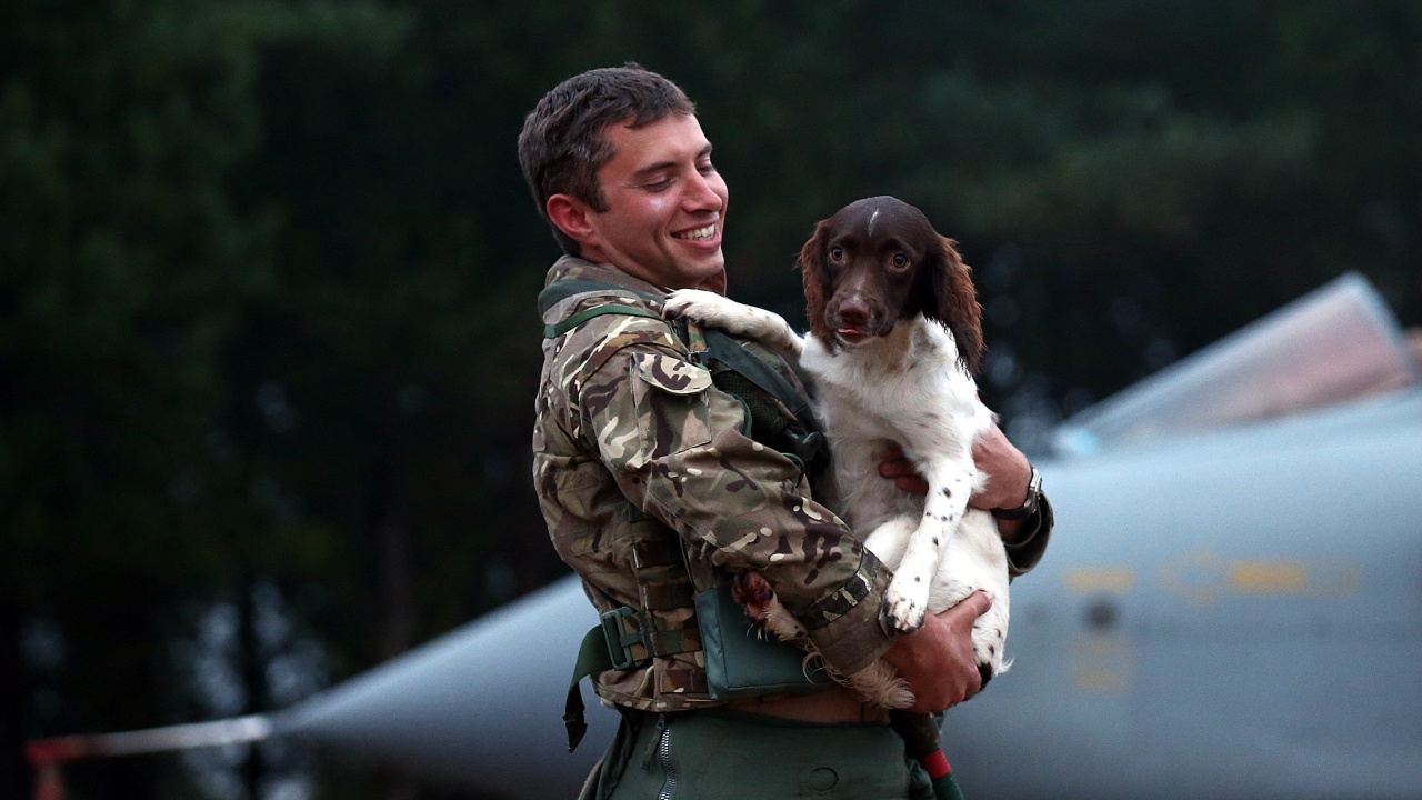 Лондон е готов да евакуира котки и кучета от Кабул 