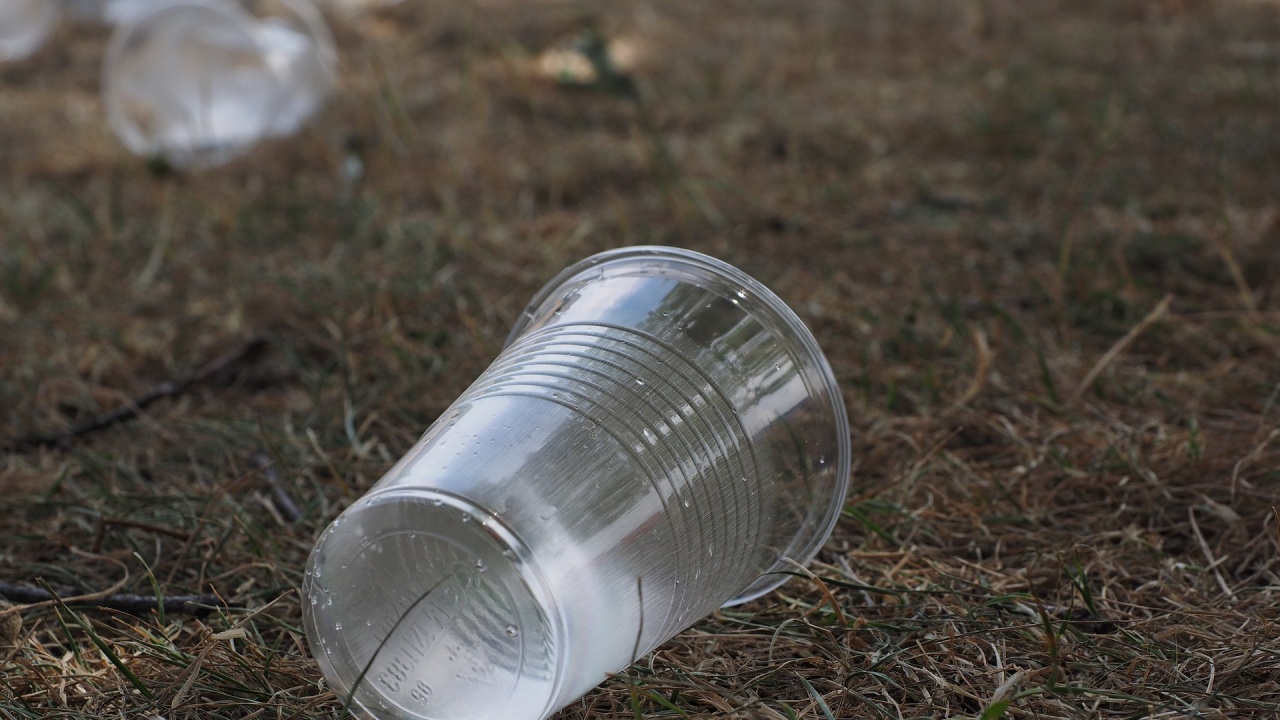Румъния намалява ползването на еднократна пластмаса