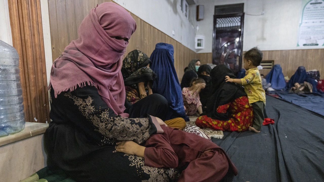 Три афганистанчета от бежански лагер в Полша са се натровили с гъби, две от тях са в тежко състояние